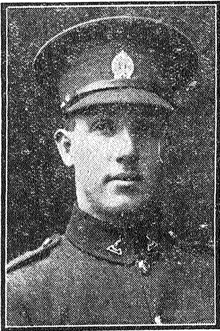 CORPORAL E. T. MOYNA, Died of Wounds., Sun, Volume V, Issue 1476, 5 November 1918, Supplement 