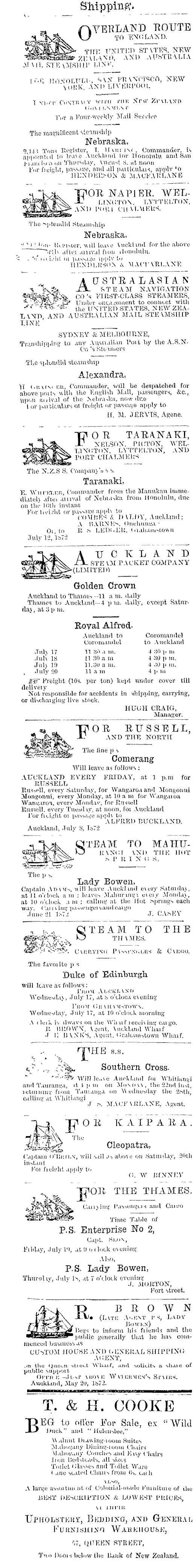 Papers Past Newspapers Auckland Star 17 July 1872 Page 1 Advertisements Column 1