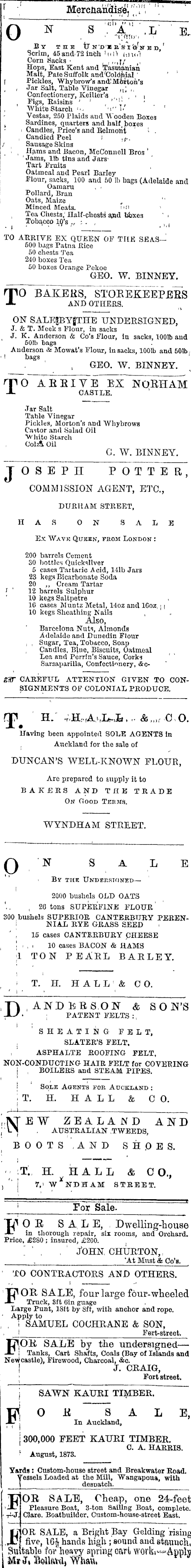 Papers Past Newspapers Auckland Star 5 March 1874 Page 1 Advertisements Column 4