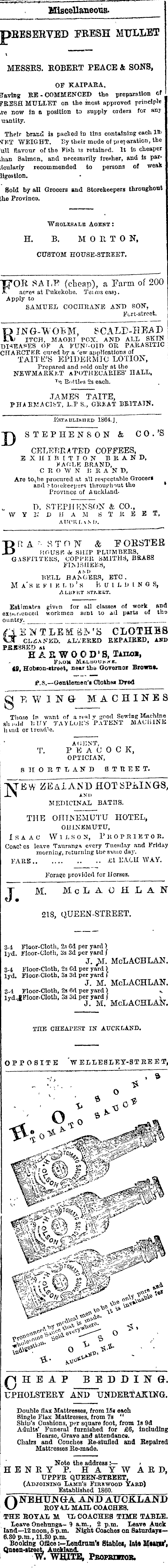 Papers Past Newspapers Auckland Star 16 October 1874 Page 4 Advertisements Column 4
