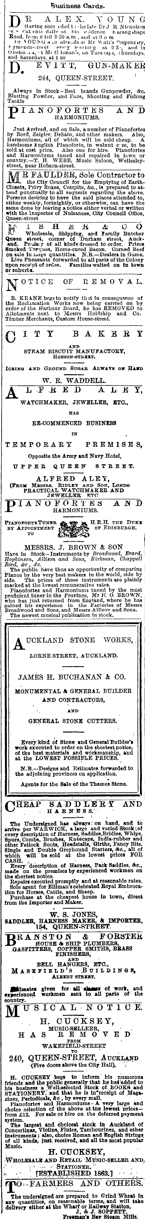 Papers Past Newspapers Auckland Star 2 February 1875 Page 1 Advertisements Column 3