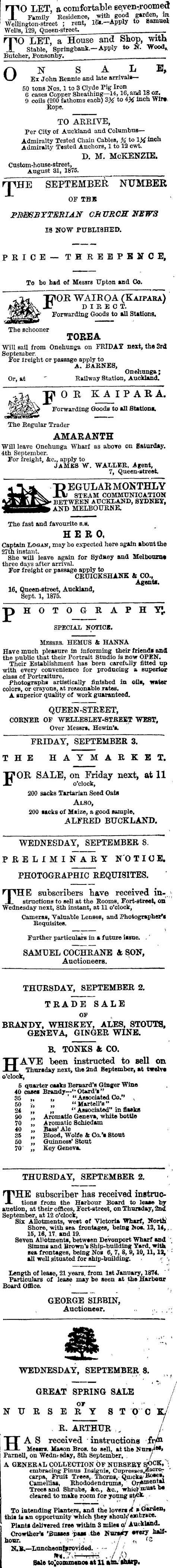 Papers Past Newspapers Auckland Star 1 September 1875 Page 3 Advertisements Column 5