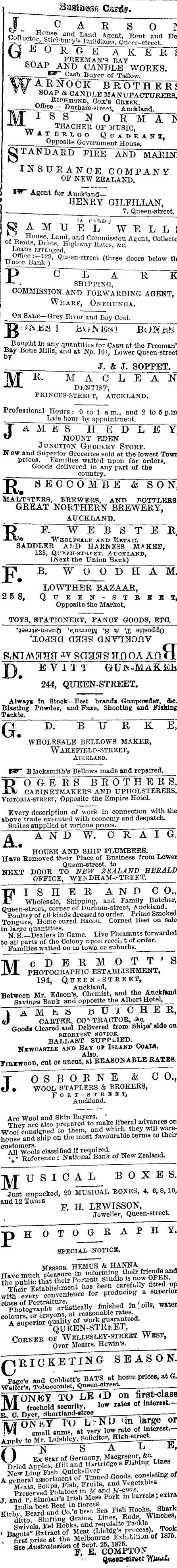 Papers Past Newspapers Auckland Star 16 December 1875 Page 1 Advertisements Column 2