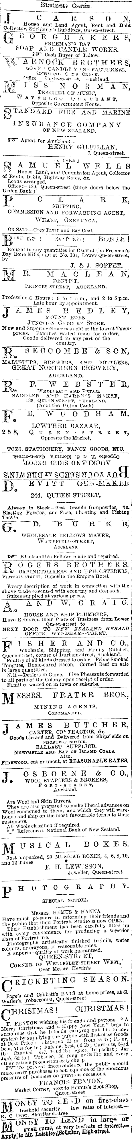 Papers Past Newspapers Auckland Star 10 December 1875 Page 1 Advertisements Column 2
