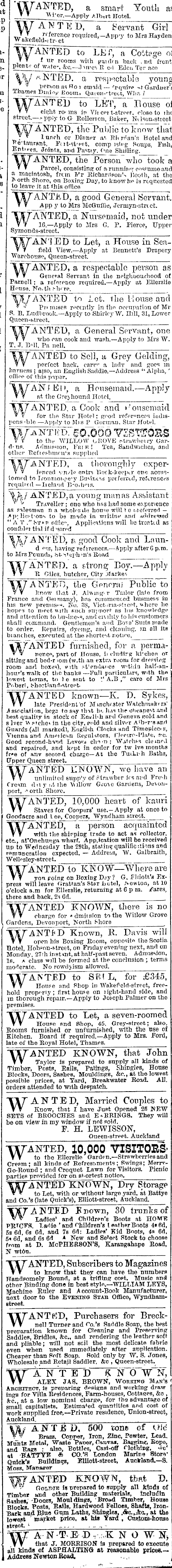 Papers Past Newspapers Auckland Star 29 December 1875 Page 3 Advertisements Column 2