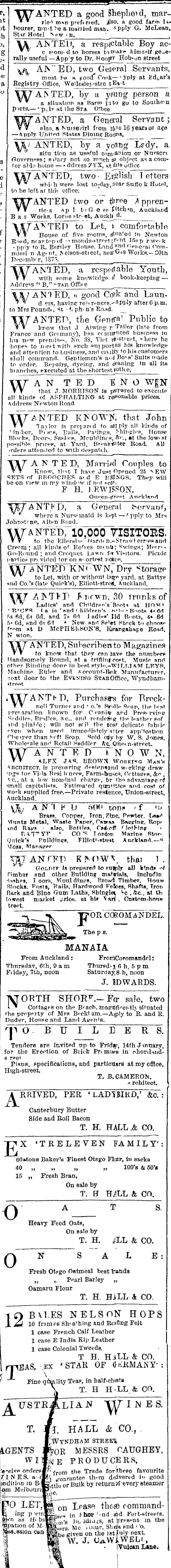 Papers Past Newspapers Auckland Star 4 January 1876 Page 3 Advertisements Column 2