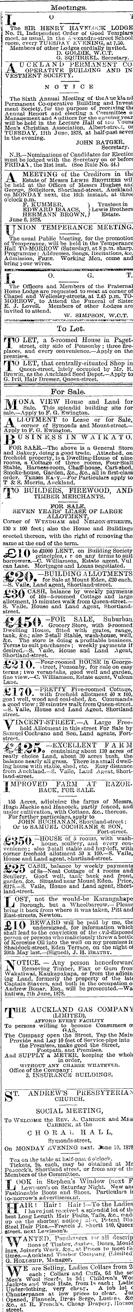 Papers Past Newspapers Auckland Star 7 June 1878 Page 3