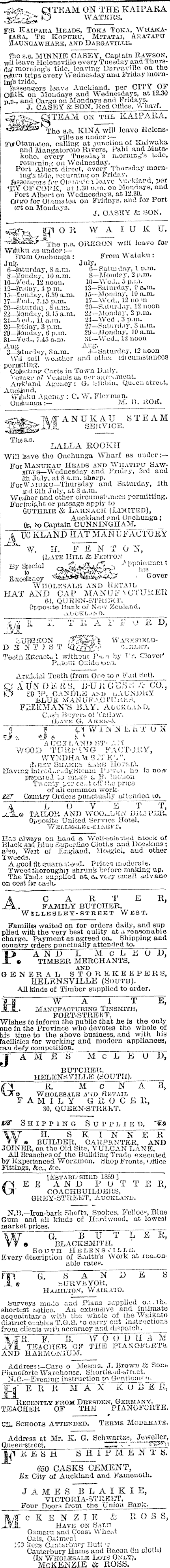 Papers Past Newspapers Auckland Star 5 July 1878 Page 1 Advertisements Column 2