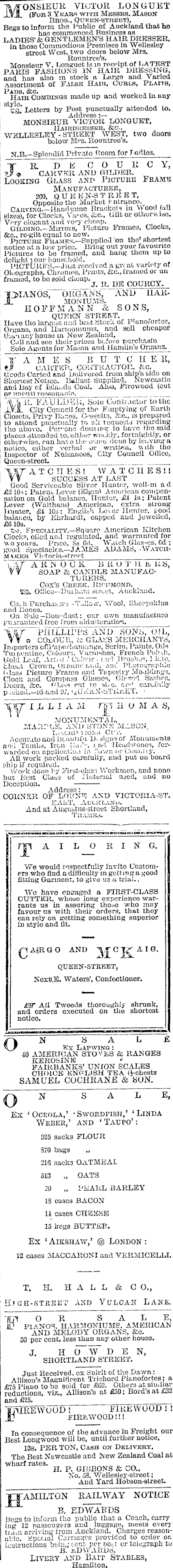 Papers Past Newspapers Auckland Star 5 July 1878 Page 1 Advertisements Column 3