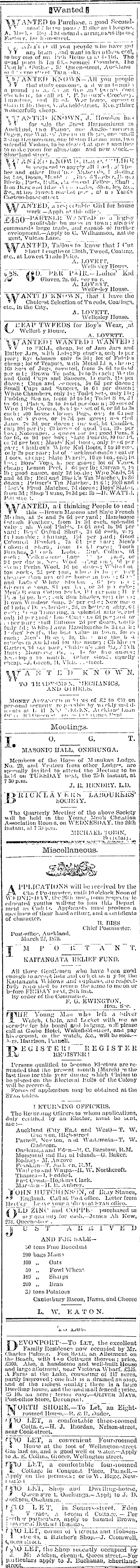 Papers Past Newspapers Auckland Star 24 March 1879 Page 3 Advertisements Column 2