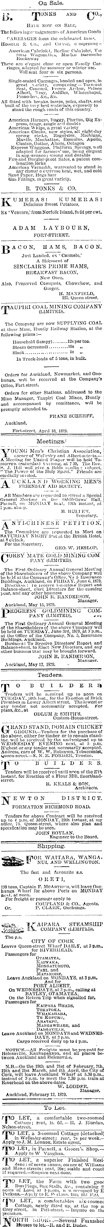 Papers Past Newspapers Auckland Star 16 May 1879 Page 3 Advertisements Column 3