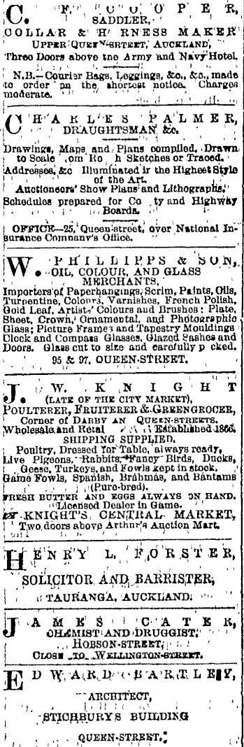 Papers Past Newspapers Auckland Star 6 August 11 Page 1 Advertisements Column 4