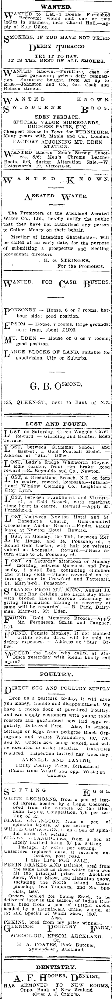 Papers Past Newspapers Auckland Star August 1907 Page 1 Advertisements Column 5