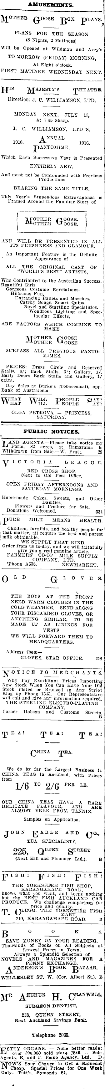 Papers Past Newspapers Auckland Star 13 July 1916 Page 12 Advertisements Column 2