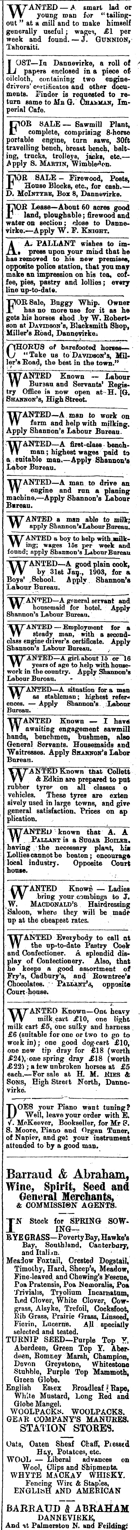 Papers Past Newspapers Bush Advocate 6 January 1903 Page 3 Advertisements Column 7