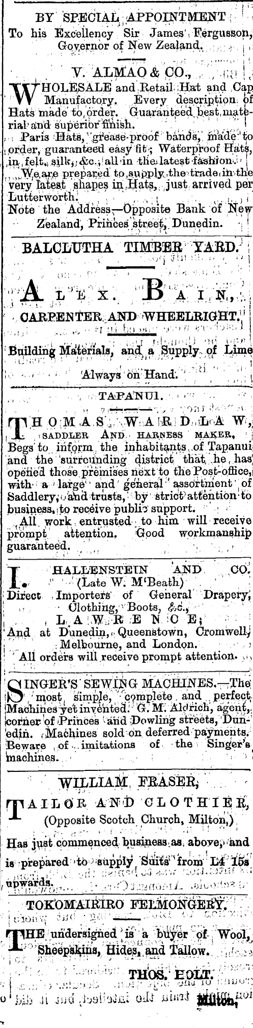 Papers Past Newspapers Bruce Herald 29 May 1874 Page 8 Advertisements Column 4