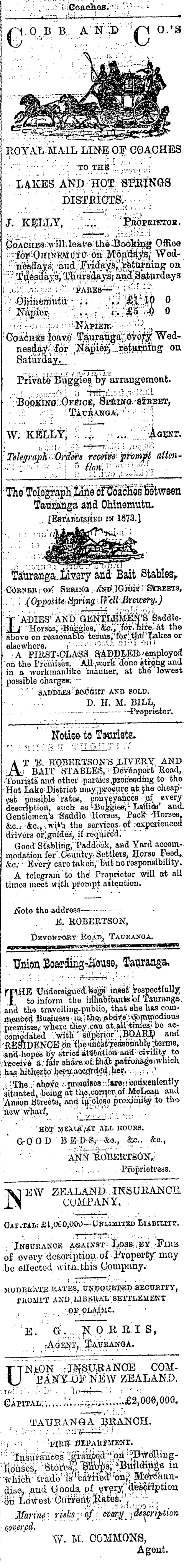 Papers Past Newspapers Bay Of Plenty Times 16 December 1879 Page 1 Advertisements Column 7