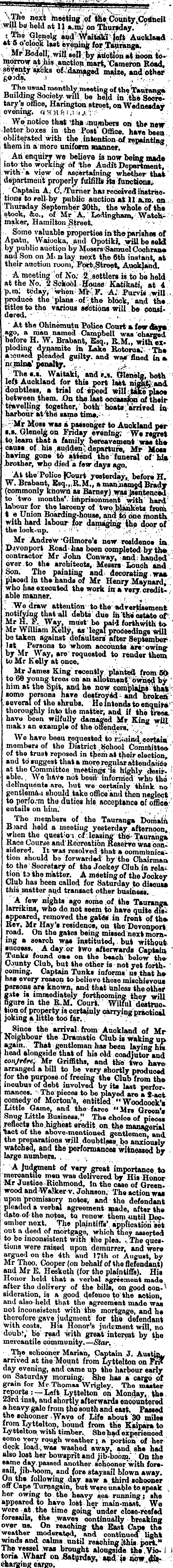 Papers Past, Newspapers, Bay of Plenty Times, 1 April 1880