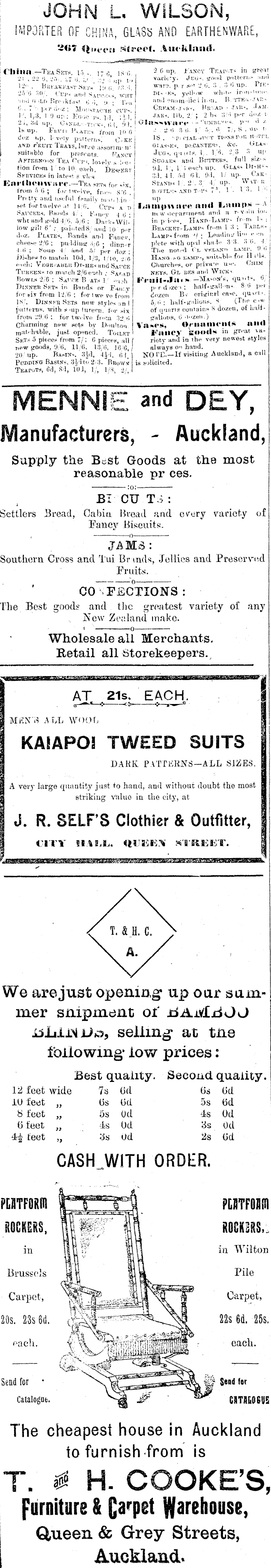 Papers Past Newspapers Bay Of Plenty Times 23 November 1896 Page 3 Advertisements Column 3