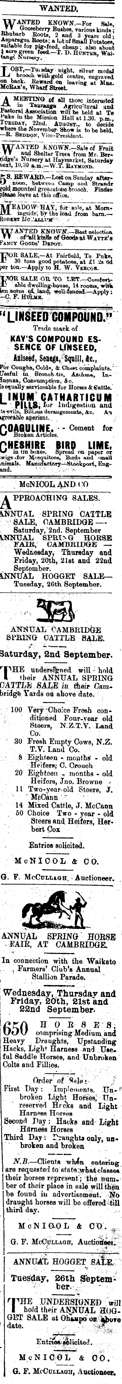 Papers Past Newspapers Bay Of Plenty Times 18 August 19 Page 3 Advertisements Column 6