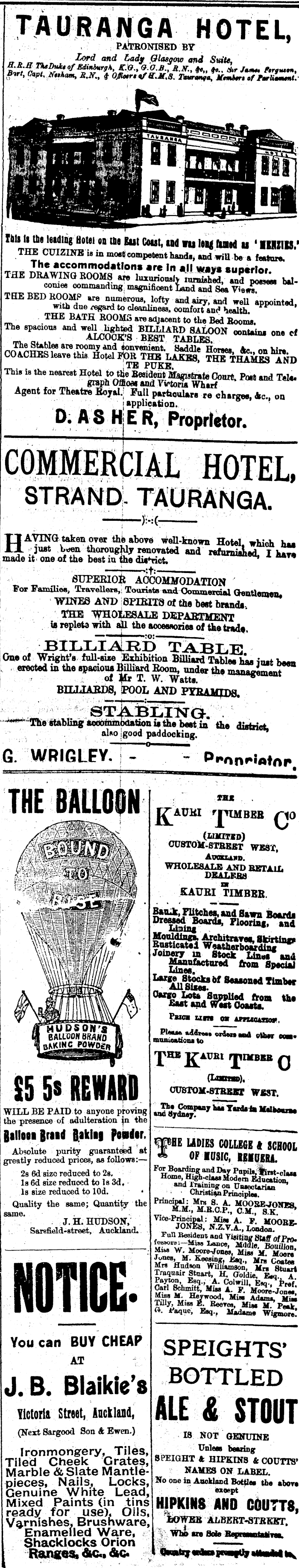 Papers Past Newspapers Bay Of Plenty Times 6 April 1900 Page 1 Advertisements Column 5