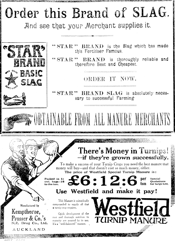 Papers Past Newspapers Bay Of Plenty Times 28 January 1914 Page 7 Advertisements Column 2