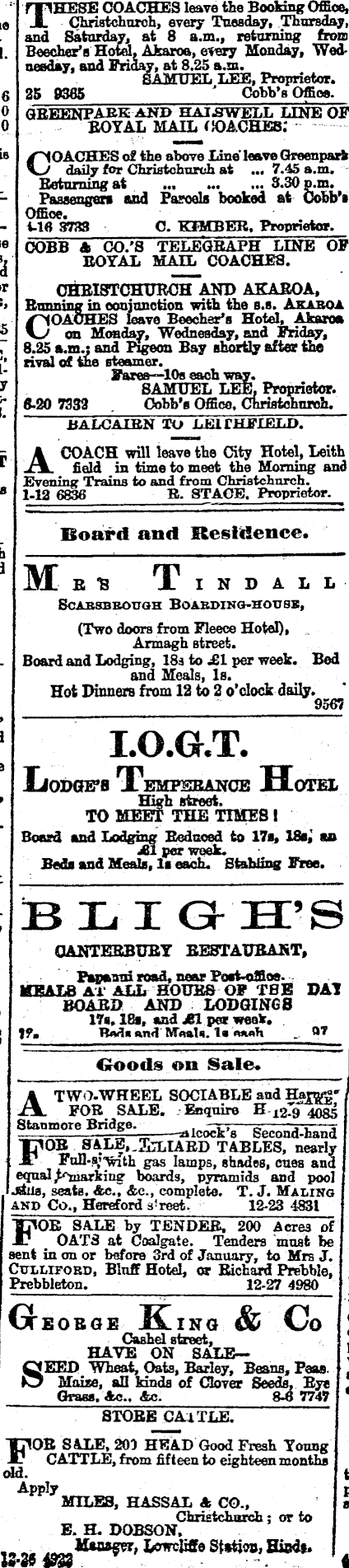 Papers Past Newspapers Press 27 December 1878 Page 4 Advertisements Column 5