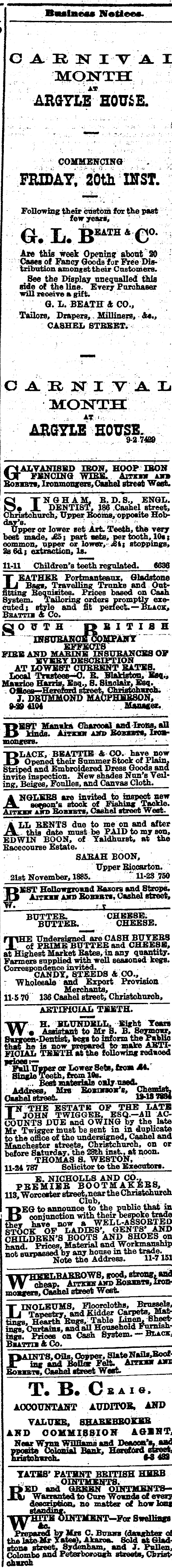 Papers Past Newspapers Press 24 November 15 Page 1 Advertisements Column 3