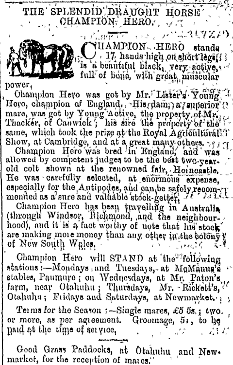 Papers Past Newspapers Daily Southern Cross 23 December 1865 Page 8 Advertisements Column 6