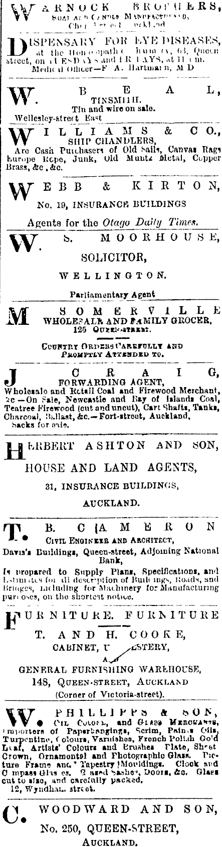 Papers Past Newspapers Daily Southern Cross 15 April 1874 Page 1 Advertisements Column 4