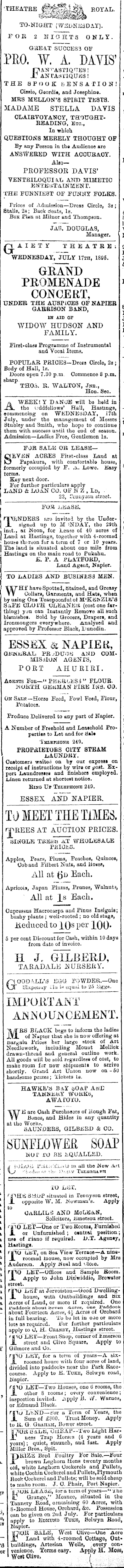 Papers Past Newspapers Daily Telegraph 17 July 15 Page 3 Advertisements Column 2