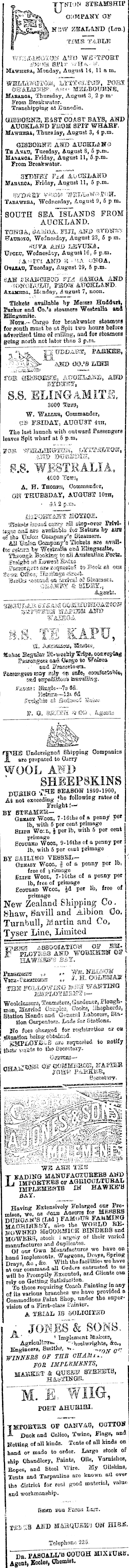 Papers Past Newspapers Daily Telegraph 2 August 19 Page 1 Advertisements Column 2