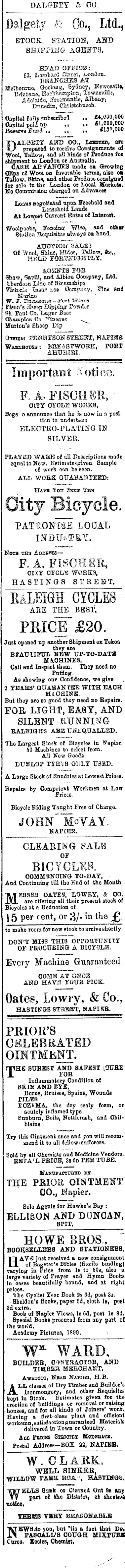 Papers Past Newspapers Daily Telegraph 19 August 19 Page 1 Advertisements Column 8