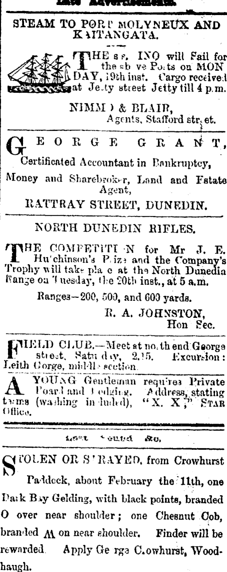 Papers Past Newspapers Evening Star 16 February 1877 Page 3 Advertisements Column 3