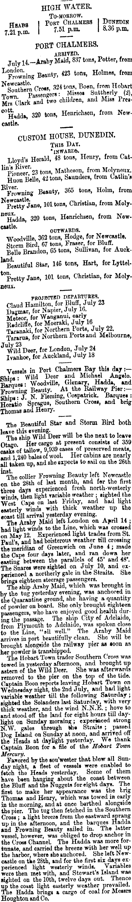 Papers Past | Newspapers | Evening Star | 15 July 1873 | Shipping.