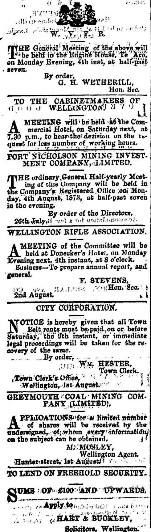 Papers Past Newspapers Evening Post 2 August 1873 Page 3 Advertisements Column 1