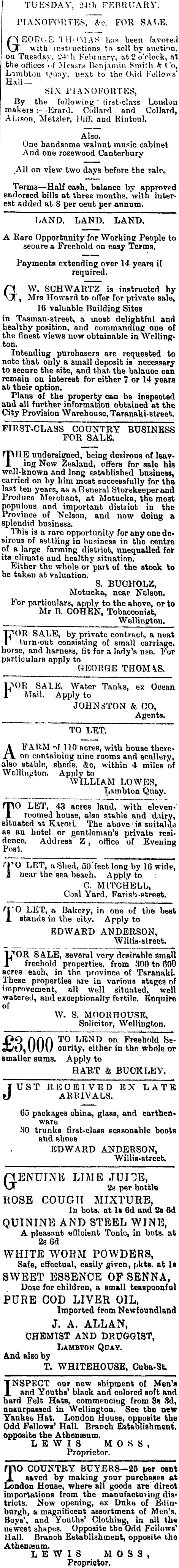 Papers Past Newspapers Evening Post 19 February 1874 Page 3 Advertisements Column 6