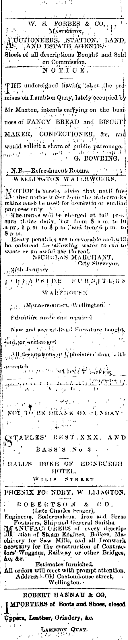 Papers Past Newspapers Evening Post 24 June 1875 Page 4 Advertisements Column 3