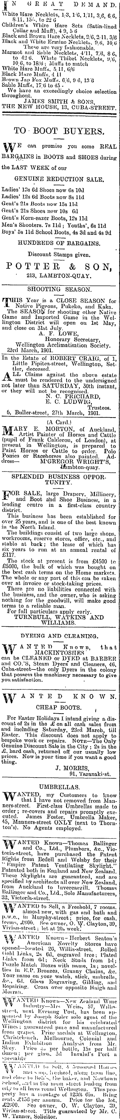 Papers Past Newspapers Evening Post 29 March 1901 Page 1 Advertisements Column 5