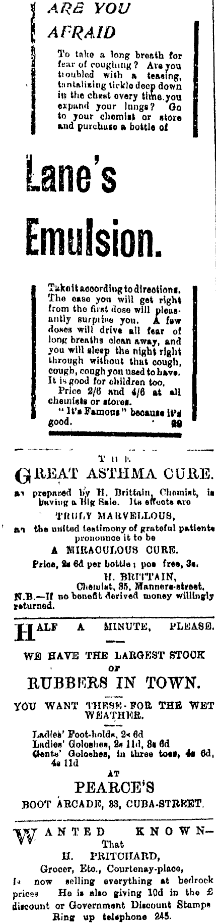 Papers Past Newspapers Evening Post 15 May 1902 Page 2 Advertisements Column 1