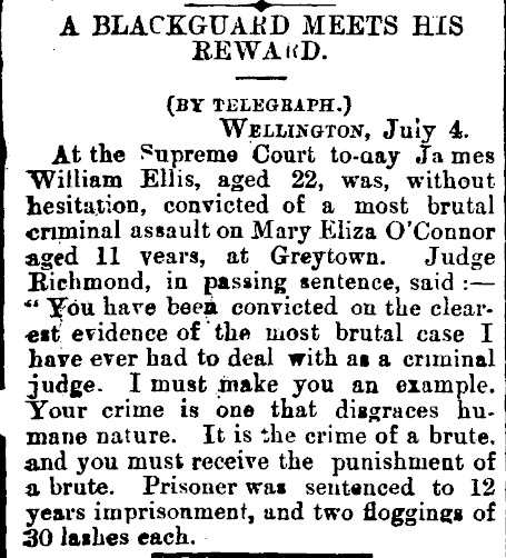 Papers Past, Newspapers, Feilding Star, 22 July 1882