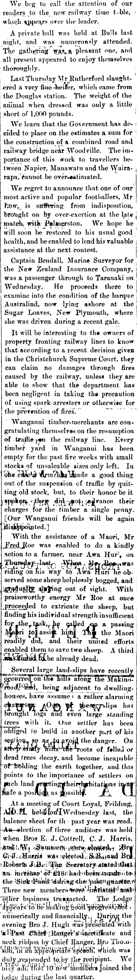 Papers Past, Newspapers, Feilding Star, 22 July 1882