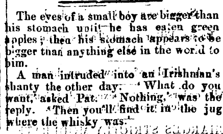 Papers Past, Newspapers, Feilding Star, 22 July 1882