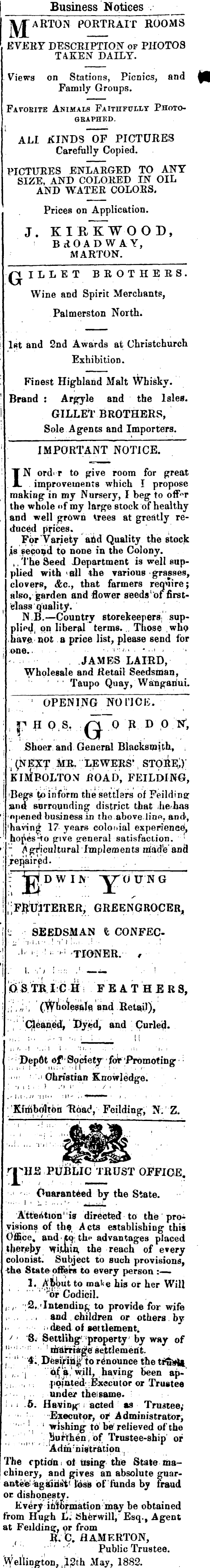 Papers Past, Newspapers, Feilding Star, 22 July 1882