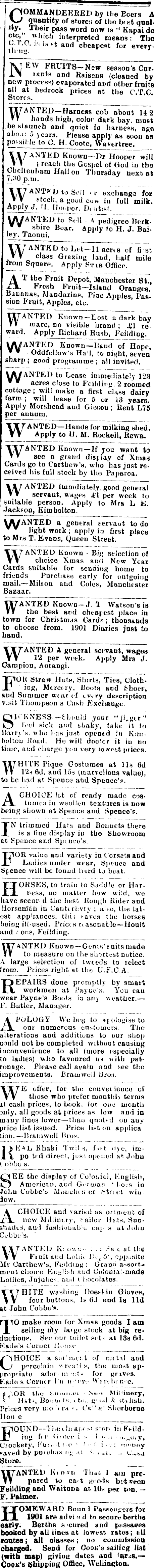 Papers Past Newspapers Feilding Star November 1900 Page 3 Advertisements Column 7