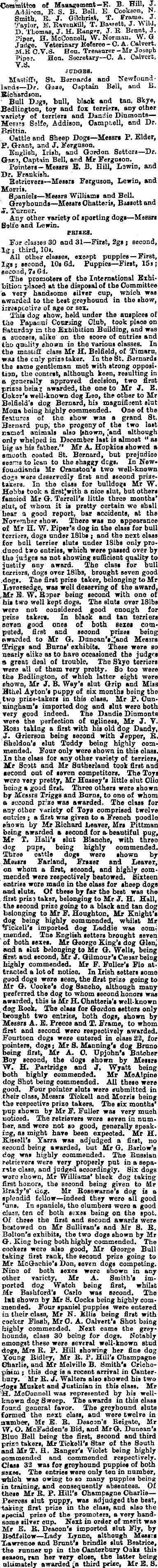 Papers Past Newspapers Globe 26 June 18 Canterbury Dog Show
