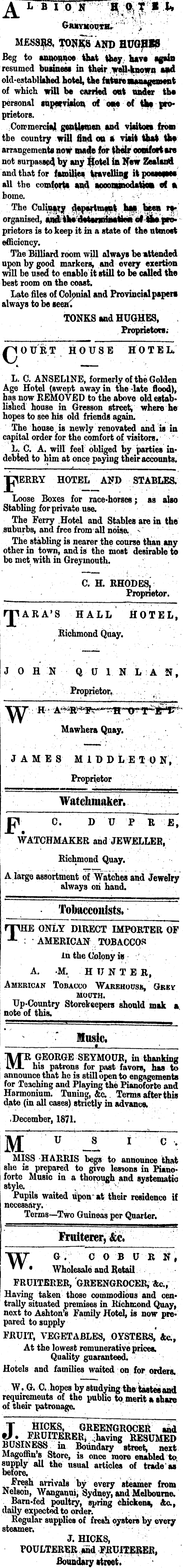 Papers Past Newspapers Grey River Argus 24 February 1872 Page 1 Advertisements Column 7