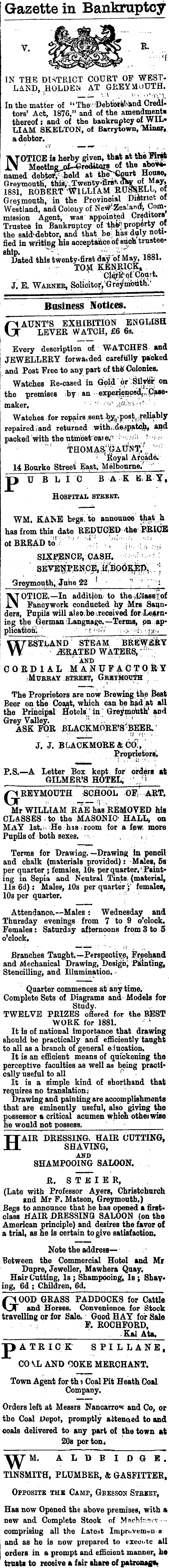 Papers Past | Newspapers | Grey River Argus | 24 May 1881 | Page 3  Advertisements Column 5