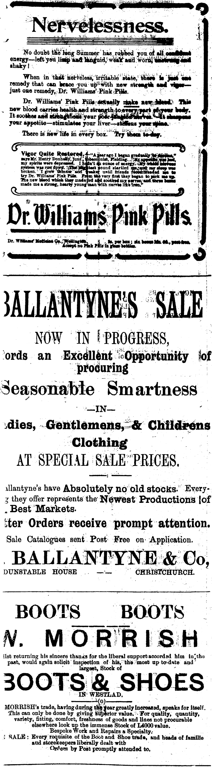 Papers Past Newspapers Grey River Argus 15 August 1903 Page 4 Advertisements Column 1