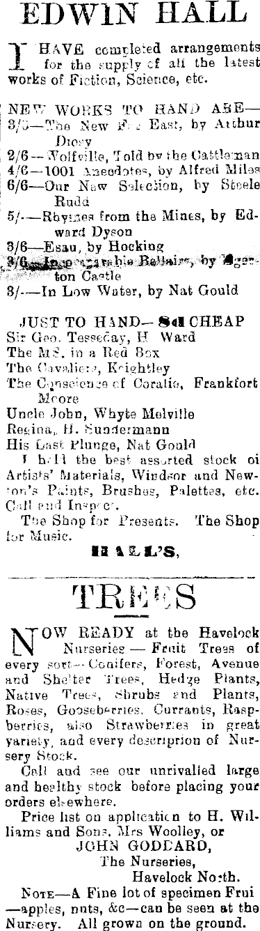 Papers Past Newspapers Hastings Standard 11 July 1904 Page 1 Advertisements Column 4